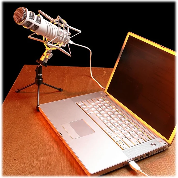 Rode Podcaster Dynamisches Großmembranmikrofon mit USB-Anschluss für Mac und PC – Bild 3