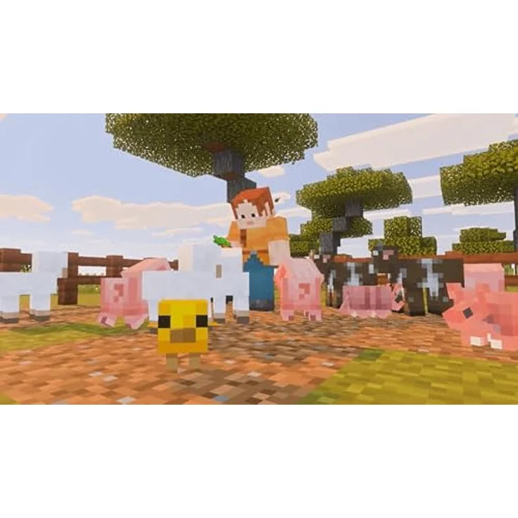 Nintendo SW2 MINECRAFT, Gaming-Konsole mit Super Mario Mash-up Pack, grau – Bild 4
