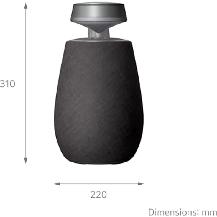 LG XBOOM 360 XO2T Bluetooth-Lautsprecher, 20 W, DJ-Funktionen, Karaoke, mehrfarbige LED-Beleuchtung, Schwarz – Bild 2