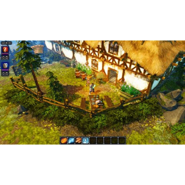 Divinity 3 - Original Sin (PC) – Bild 3