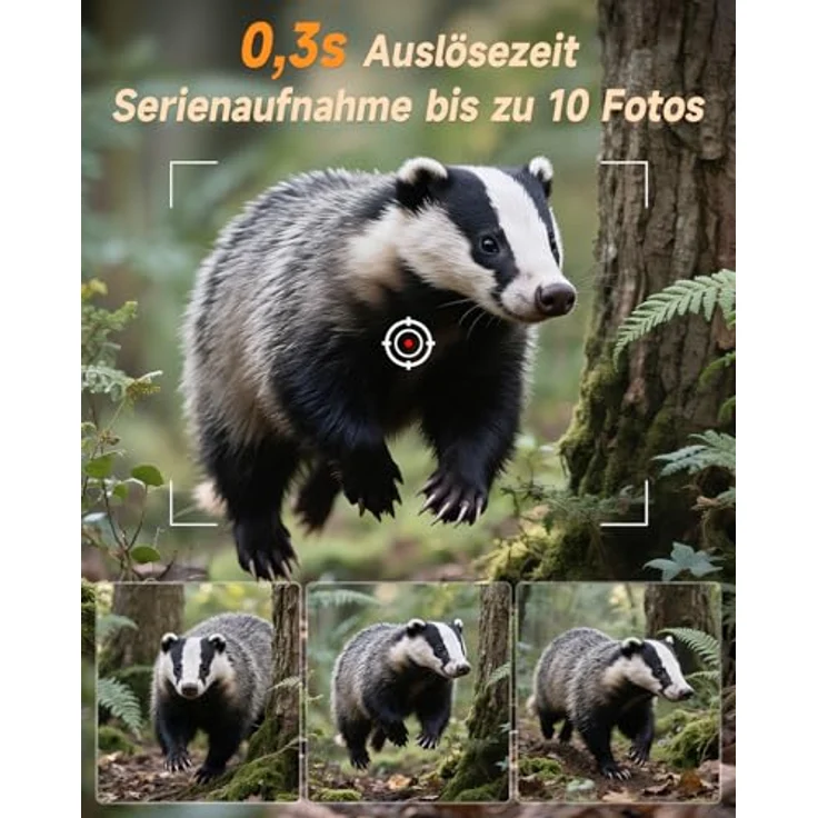 Rollei Wildkamera 4K WiFi Solar, 48 MP mit App-Steuerung und integrierten Solarpanel – Bild 7