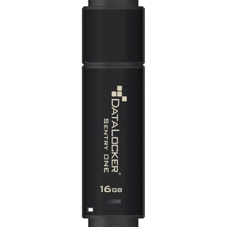 DataLocker Sentry ONE - USB-Flash-Laufwerk - verschlüsselt - 16GB - USB 3,1 Gen 1 - FIPS 140-2 Level 3 (SONE016) – Bild 2