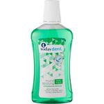 Today Dent Mundspülung Mintfrisch