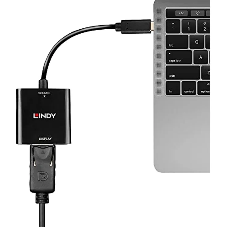 LINDY Konverter USB Typ C auf DisplayPort 4K144