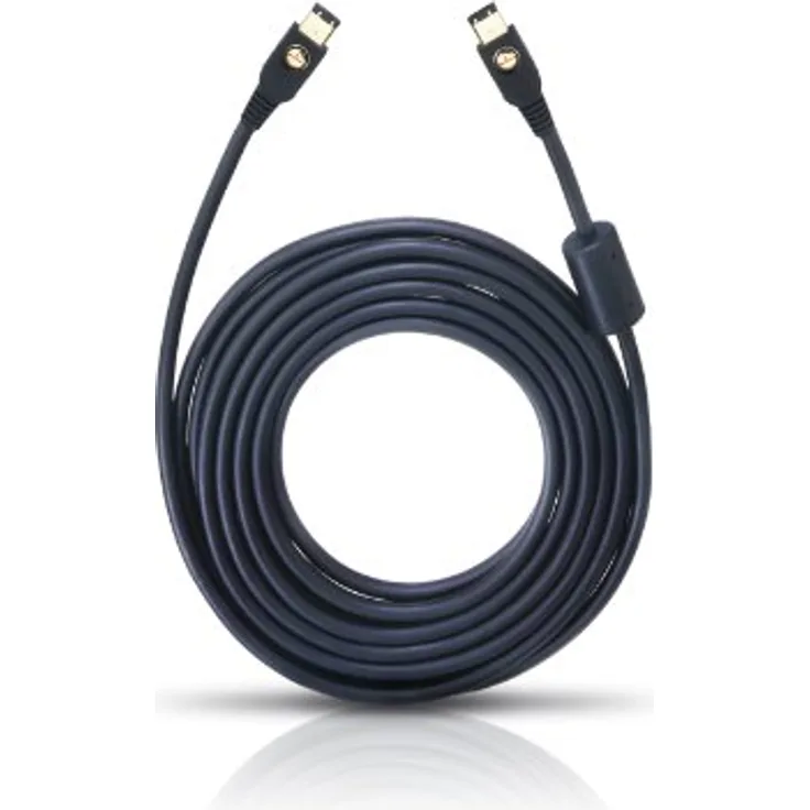 FIREWIRE 6-6 5 m