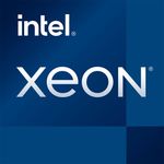 Intel Xeon E-2478, 8-Kern CPU mit 2.8 GHz Basisfrequenz und 5.2 GHz Turbo Boost, LGA 1700, 128 GB DDR5, ECC