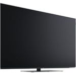 Loewe We. SEE OLED 48 Zoll, Fernseher mit innovativem Design - Preisvergleich