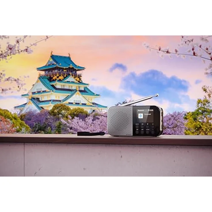 Sharp DR-P520, ultraportables DAB+ Mini-Radio mit integriertem Lautsprecher und Kopfhöreranschluss, Schwarz – Bild 8