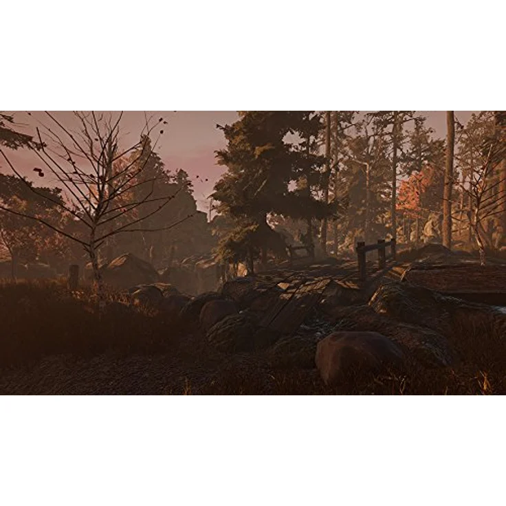 Through the Woods (PC) – Bild 6