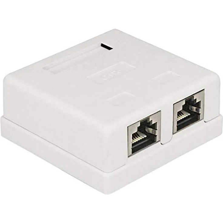 Delock 86269 Netzwerkdose Unterputz, CAT 6, 2 Port, mit Zentralplatte und Rahmen, weiß – Bild 1