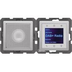 Berker 30806084 (DAB+), Radio, Silber