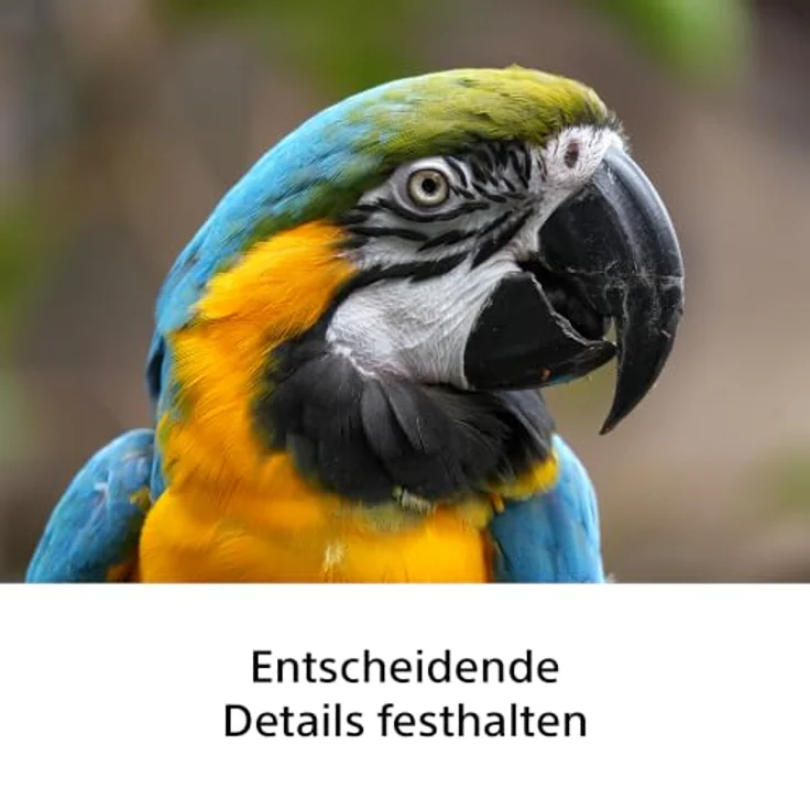 SONY SEL100400B.SYX 100 mm - 400 mm f/5.6-8, Super-Telefoto-Zoomobjektiv für Sony E-Mount, kompakt und leicht, schwarz – Bild 6
