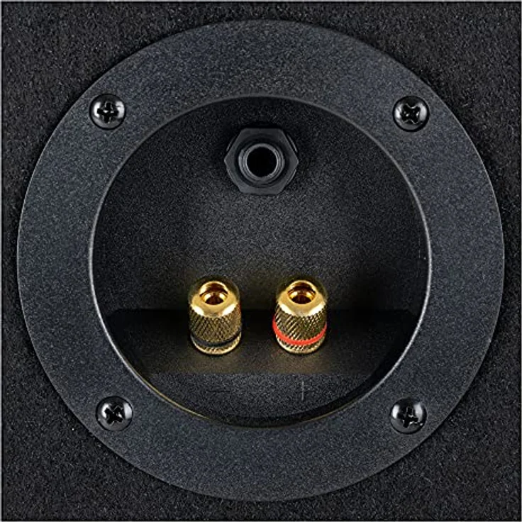 McGrey TP-10 DJ PA Lautsprecher Box 25cm (10 ) Subwoofer 400W (Passiv, 2-Wege System, Holzgehäuse) – Bild 5