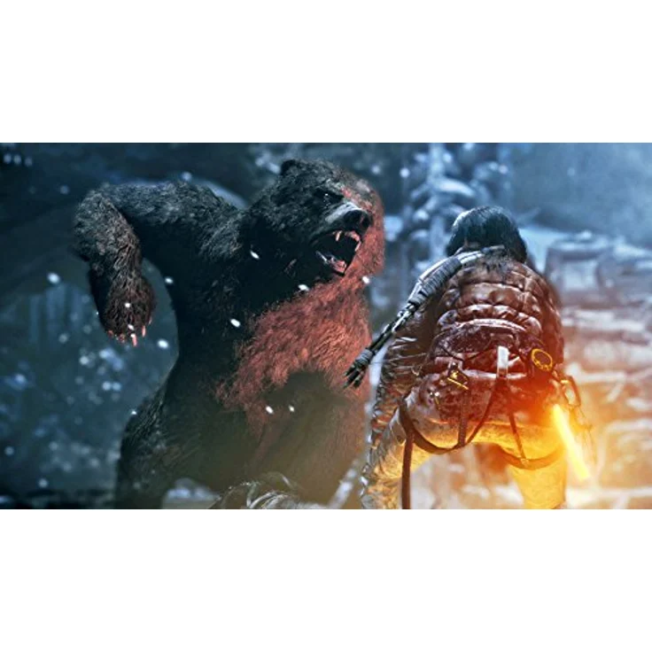 Rise of the Tomb Raider (Xbox One) - Preisvergleich – Bild 5
