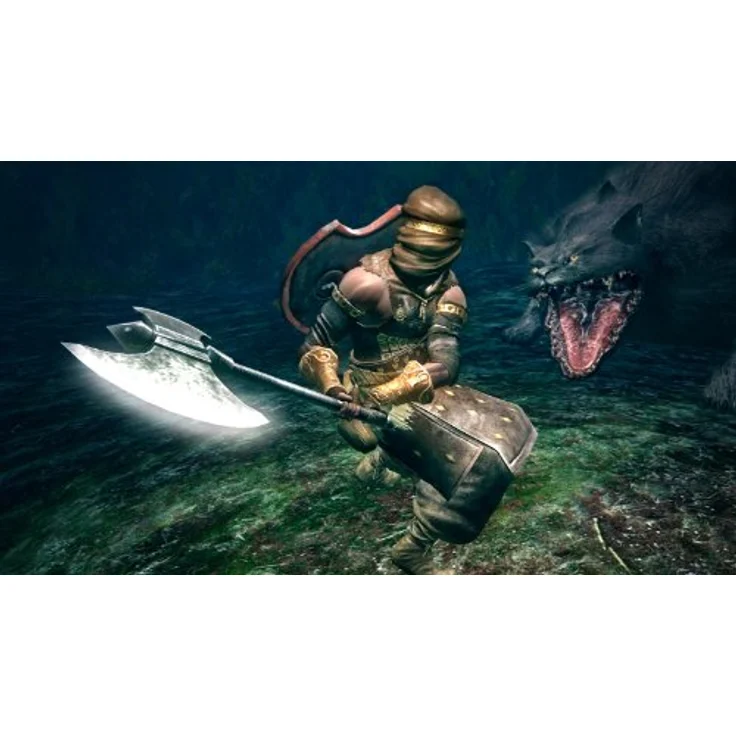 Dark Souls (PS3) – Bild 6