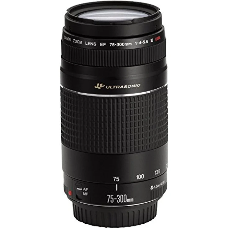 Canon EF 75-300 mm, f/4,0-5,6 III USM – Bild 5