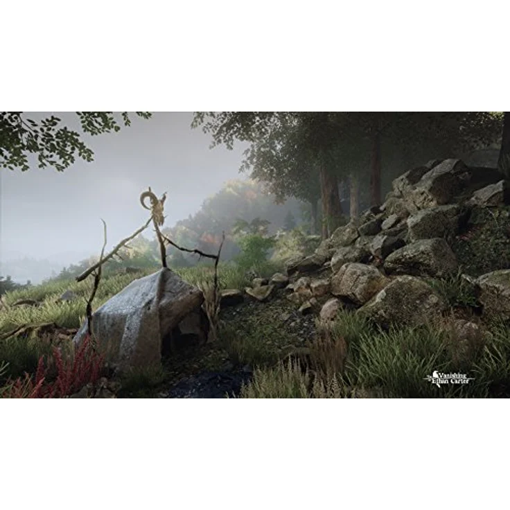 The Vanishing of Ethan Carter (PC) – Bild 2