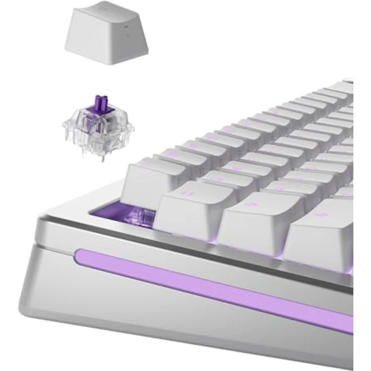 Glorious Mako Standard Switches, mechanisch, 5-Pin, taktil, MX-Stem, 45g - lubed, 110 Stück – Bild 2