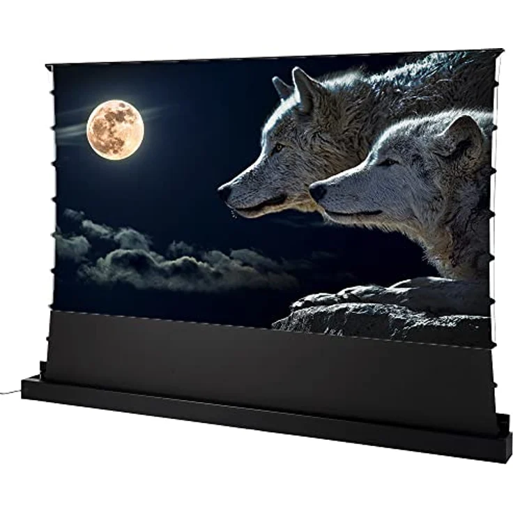 celexon elektrische CLR-Hochkontrast-Boden-Leinwand PLUS für die Nutzung mit einem Ultra-Kurzdistanz-Beamer im Heimkino oder für Buisnessprojektionen - 120" Zoll - 265,6x149,4 cm - 4K 8K UHD - schwarz – Bild 1