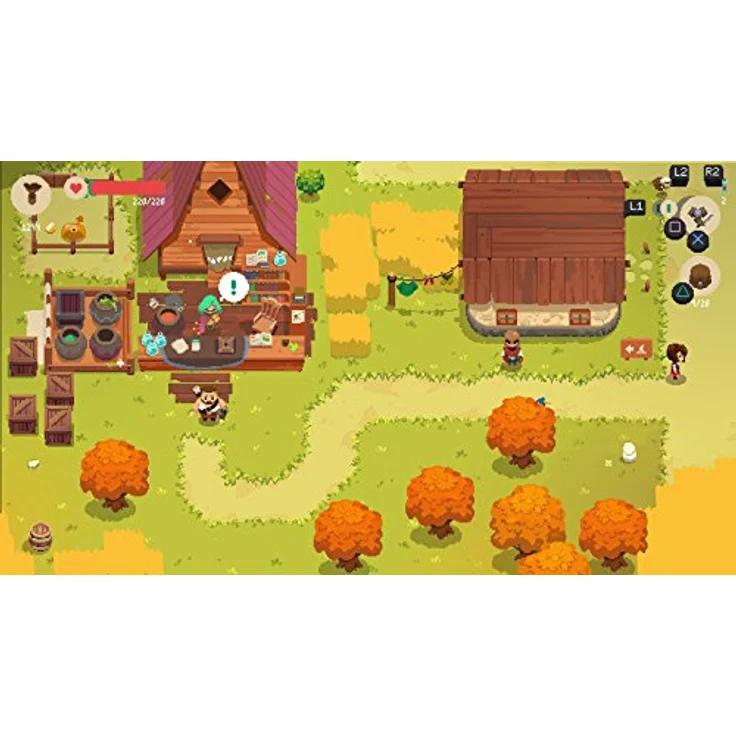 Merge Games Moonlighter PS4, Action-Adventure Game für die PlayStation 4 – Bild 3