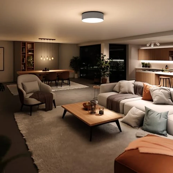 tint Smarte LED-Deckenleuchte Malea grey – Dimmbare Beleuchtung mit weißem (1800-6500 K) und farbigem RGB Licht, steuerbar per Alexa, Fernbedienung oder Bluetooth – Bild 4