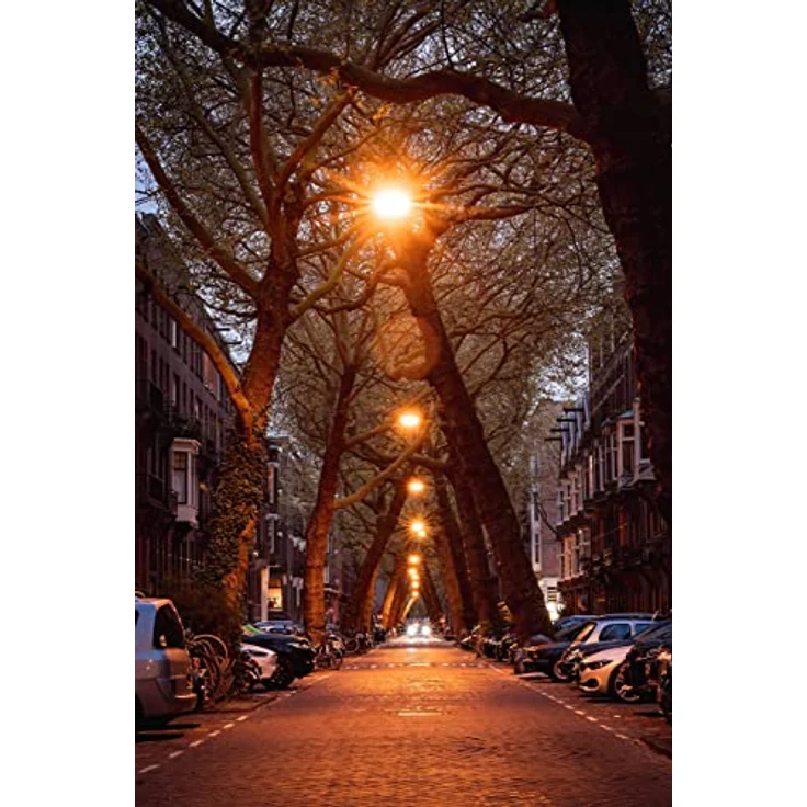 Samyang MF 85mm F1,4 MK2 Sony E ? Porträt Objektiv manueller Fokus für Vollformat und APS-C Festbrennweite Sony E Mount, 2. Generation für Sony A7S, A7 III, A7R III, A6400, A7R IV, A6600, A9 II – Bild 2