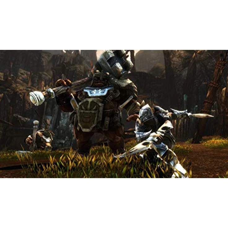 Kingdoms of Amalur Re-Reckoning (Xbox One) – Bild 4