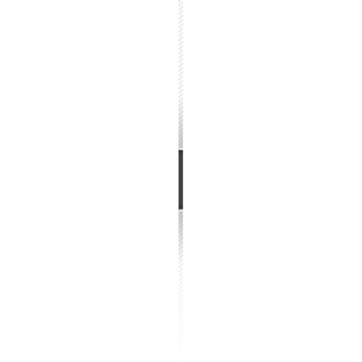 SKS Testprobe 2 Schwarz