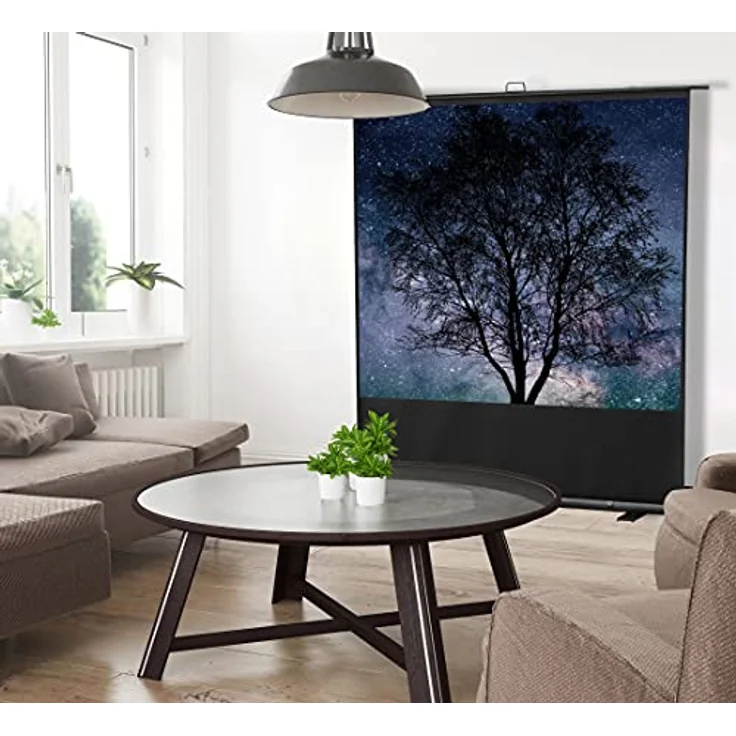 Celexon Ultramobil Plus Professional 160x90 – Bild 6