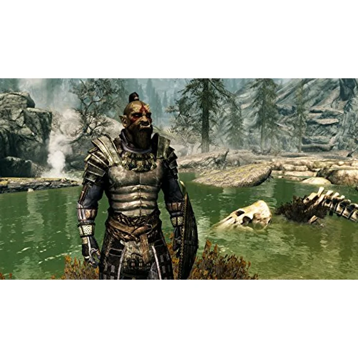 The Elder Scrolls V: Skyrim (Switch) – Bild 5