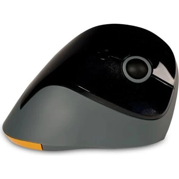 BakkerElkhuizen PRF Vertical Mouse Wireless, ergonomische Maus mit kabelloser Technologie, schwarz