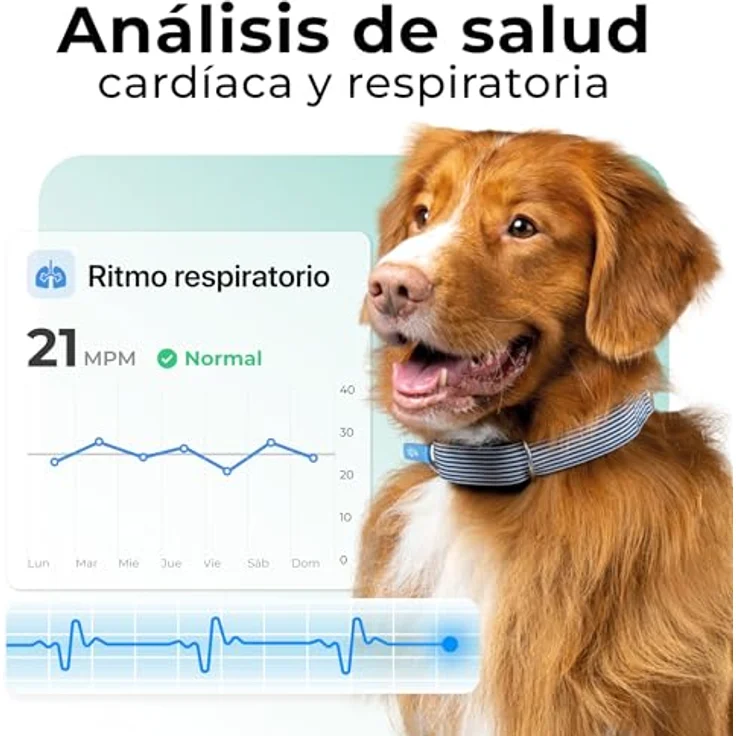 Invoxia Minitailz, GPS- und Gesundheitstracker für Hunde, Fluchtwarnungen, Atemscan, Echtzeit Ortung, USB wiederaufladbar, virtuelle Zone und Zaun – Bild 4