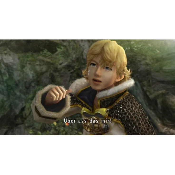 Final Fantasy Crystal Chronicles - The Crystal Bearers (Wii) – Bild 4