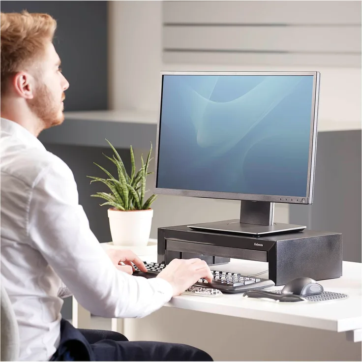Fellowes Monitorständer (8038101)