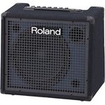 BOSS Roland KC-200, 4-Ch Mixing Keyboard Amplifier mit 100 Watt Leistung, individueller Zwei-Wege-Lautsprecher und Master-EQ