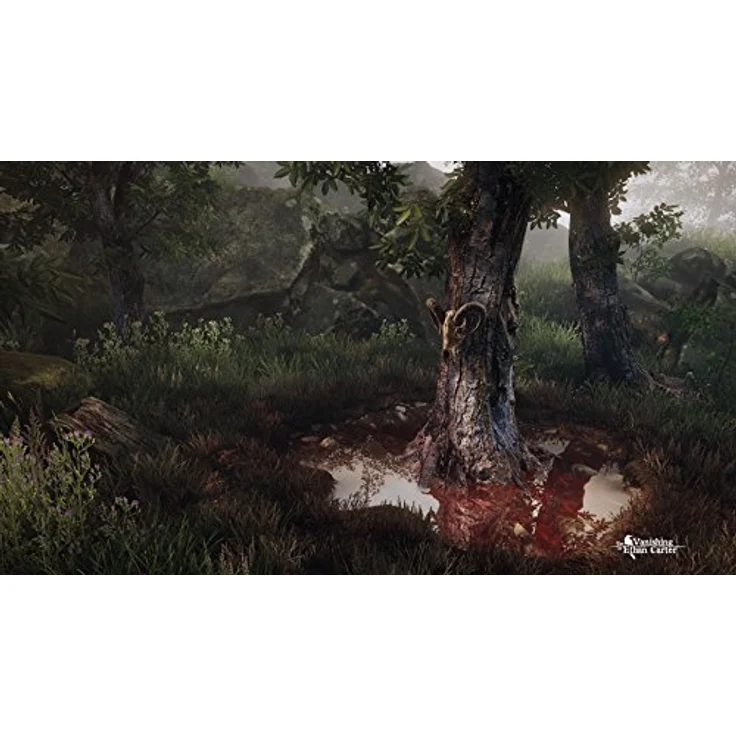 The Vanishing of Ethan Carter (PC) – Bild 5