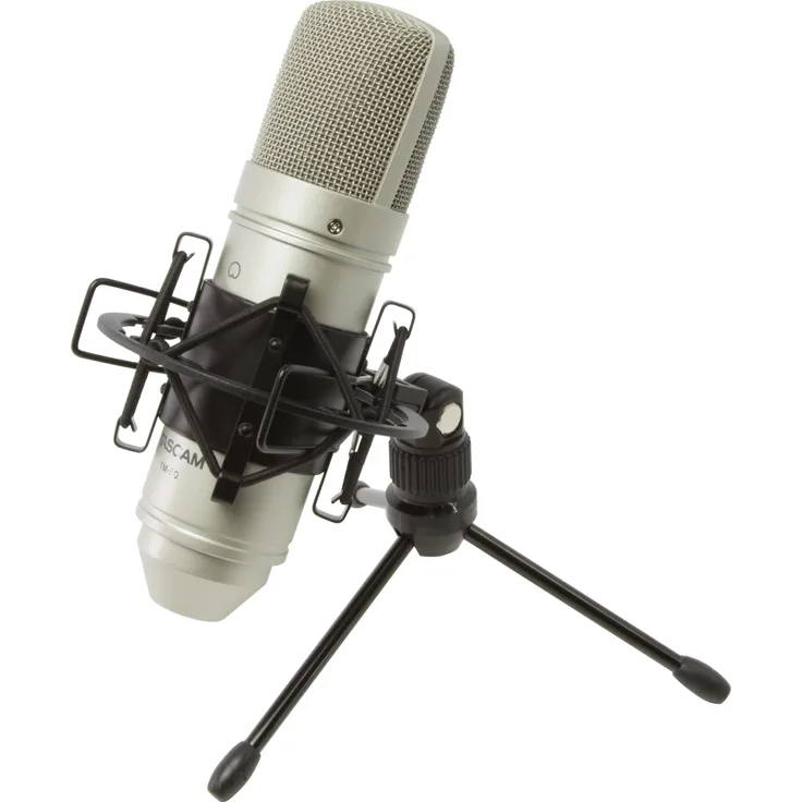 Tascam TM-80 (Home-Studio), Mikrofon