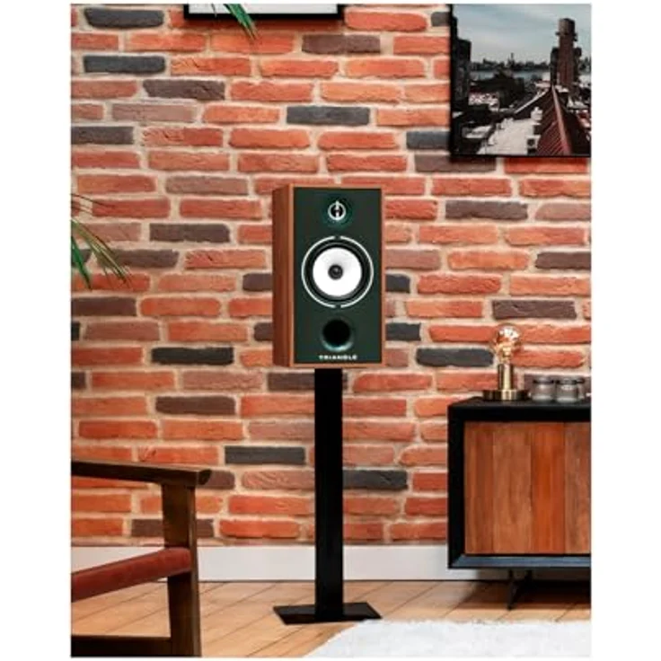 TRIANGLE BOREA BR04, Hi-Fi-Regallautsprecher mit 110W Leistung, 90 dB/W/m Wirkungsgrad, kompaktes Design in Grün (Paar) – Bild 2