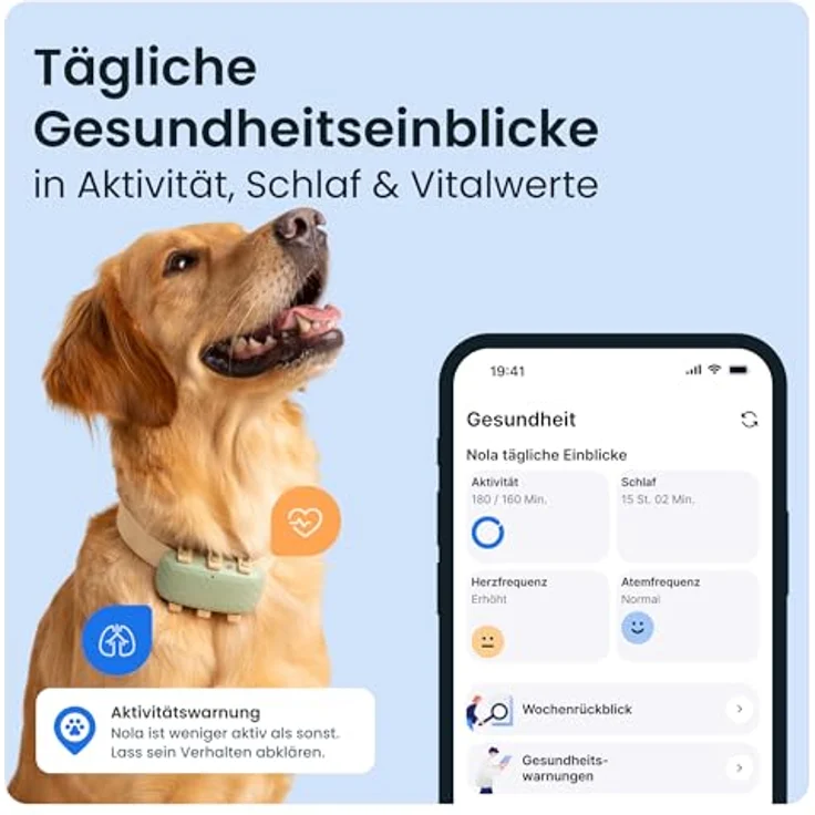 Tractive Dog XL GPS-Lokalisierer, Echtzeit-Ortung für große Hunde, grün – Bild 3