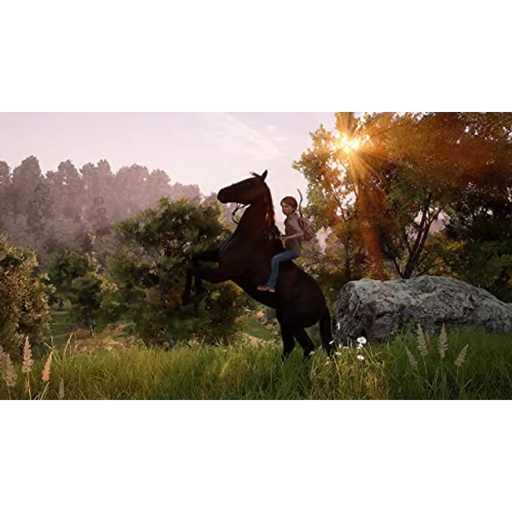 Ostwind: Ein unerwartetes Abenteuer (Nintendo Switch) – Bild 5