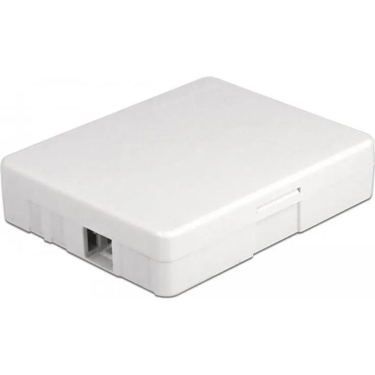 Delock LWL Anschlussdose zur Wandmontage für 2 x SC Simplex oder LC Duplex weiß (86842)