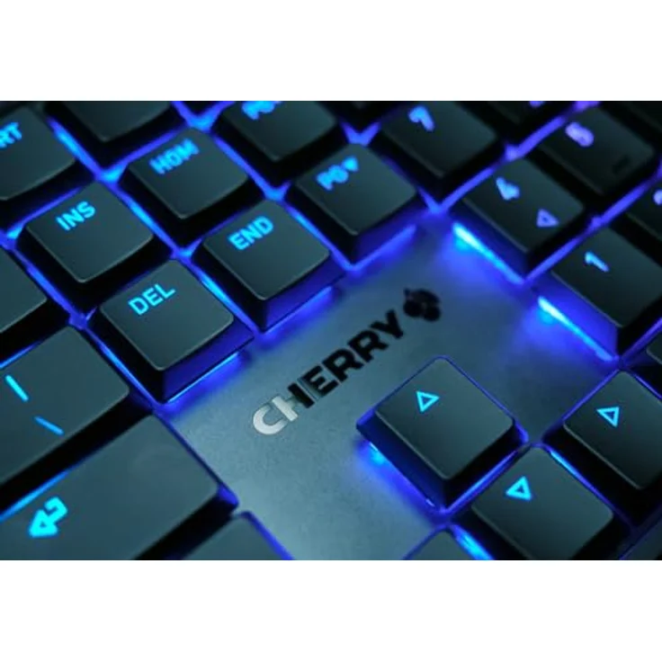 CHERRY MX 10.0N Tastatur USB QWERTZ Deutsch Schwarz (G8A-25010LVBDE-2) – Bild 4