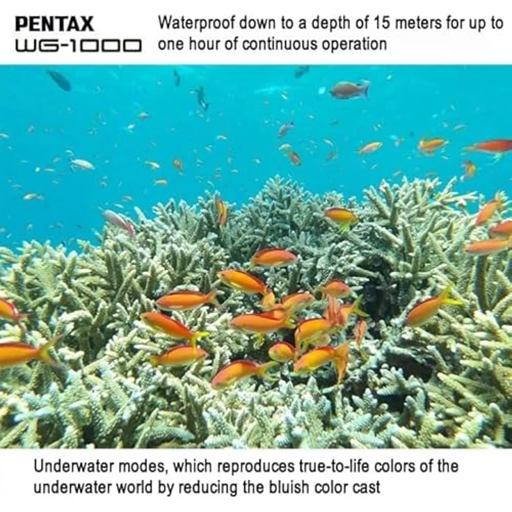 Pentax WG-1000 (Grau), Wasserdichte Digitale Kompaktkamera für Outdoor- und Unterwasserfotografie bis 15 Meter Tiefe – Bild 5