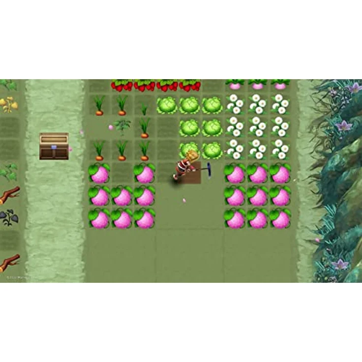 Marvelous Europe Rune Factory 3 SPECIAL – Bild 3