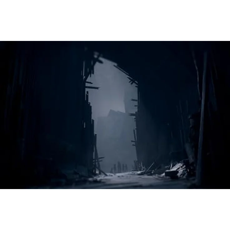THQ Nordic REANIMAL - PlayStation 5, PS5-Spiel mit atmosphärischem Horror, lokalem & online-Koopmodus – Bild 4
