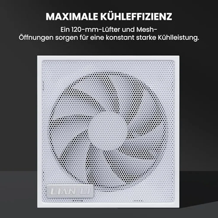 Lian Li SX Series 1.000 Watt 80 PLUS Platinum Netzteil, vollmodular, PCIe 5.1, ATX 3.1, weiß – Bild 4