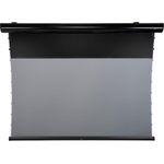 Celexon Leinwand Motor HomeCinema Plus Tension - CLR UST, 110" schwarz (110", 16:9), Infrarot-Fernbedienung