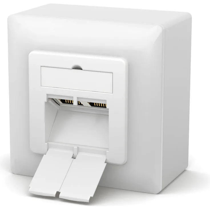 Netzwerkdose CAT.6A mit 2x RJ45 Port Aufputz - Unterputz
