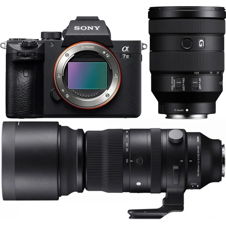 Sony Alpha 7 III Vollformat-Systemkamera + SEL 24-105mm f4,0 G + Sigma 150-600mm f5-6,3 – Bild 2