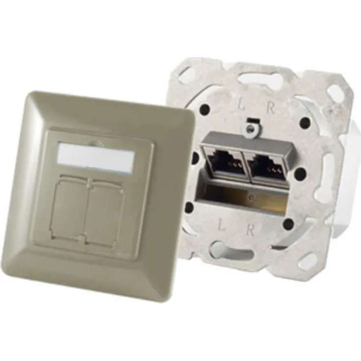 S-CONN maximum connectivity Netzwerkdose-cat.6A Netzwerkdose 2-Fach designfähig, horizontale Kabelführung, Zentralstück inkl. Abdeckrahmen, silber-grau (74280-GR)